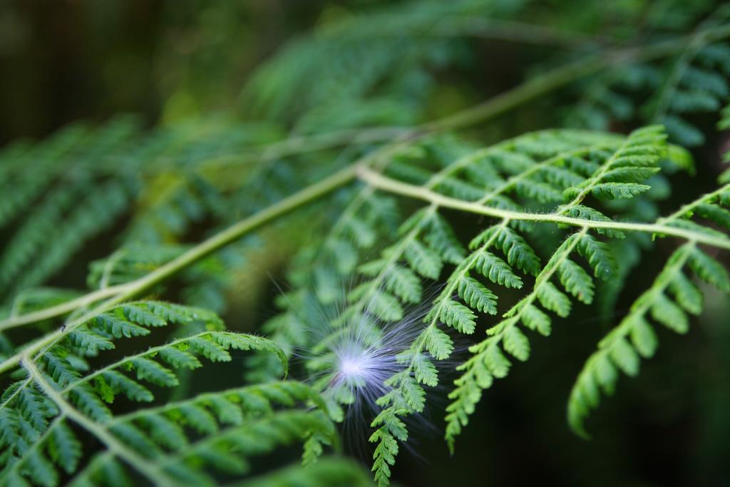 Forest Edge Rheenendal Exterior foto